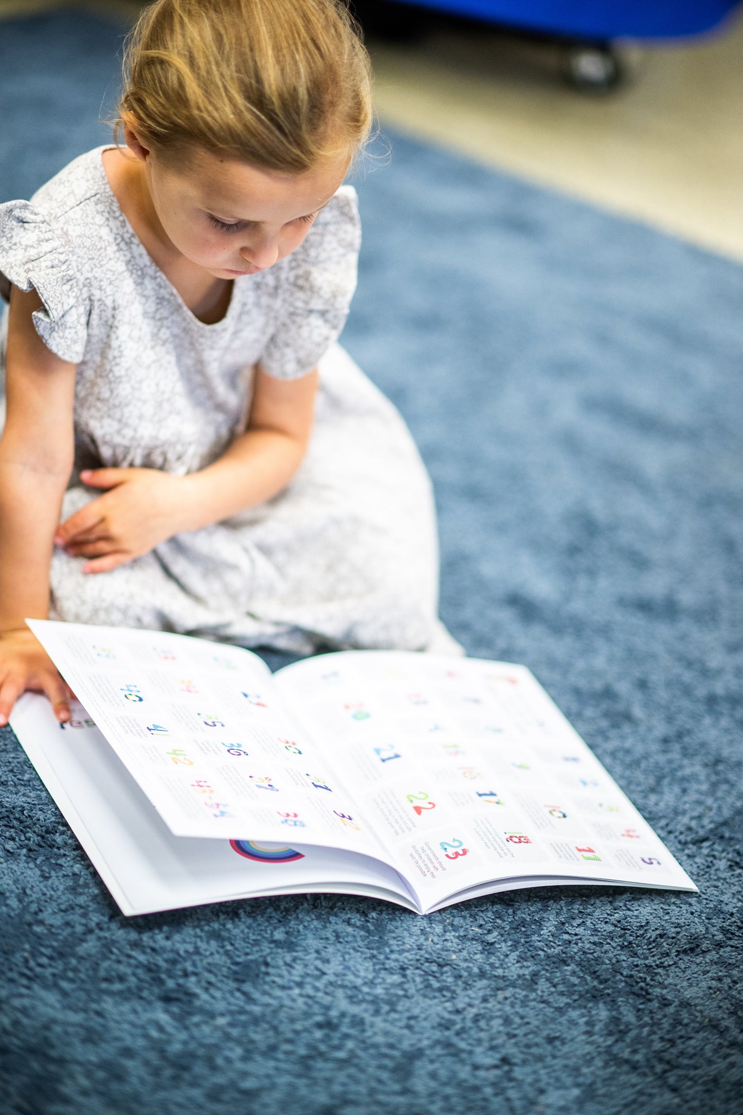 The Big Book of Rights - Children's Picture Book