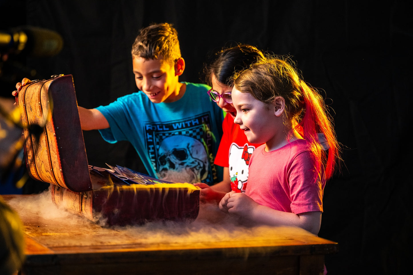 PRE-ORDER - 5 PACK - Children's Rights Passport